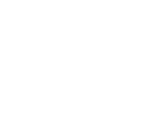 Diensten Ecksplorer